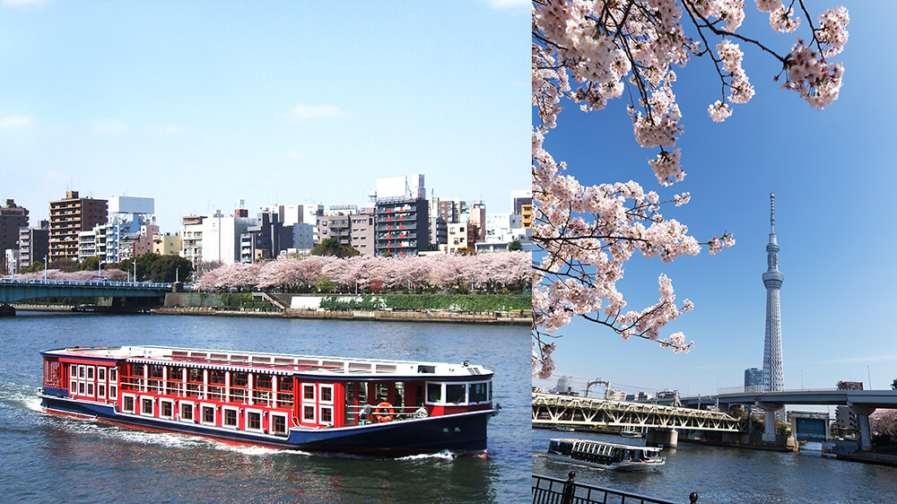 お花見船（定期船 隅田川ルート）のイメージ