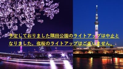 お花見船 予約制 夜 桜橋周遊コース Cherry Blossom Cruise 東京都観光汽船 Tokyo Cruise お花見船 予約制 夜 桜橋周遊コース Cherry Blossom Cruise 東京都観光汽船 Tokyo Cruise