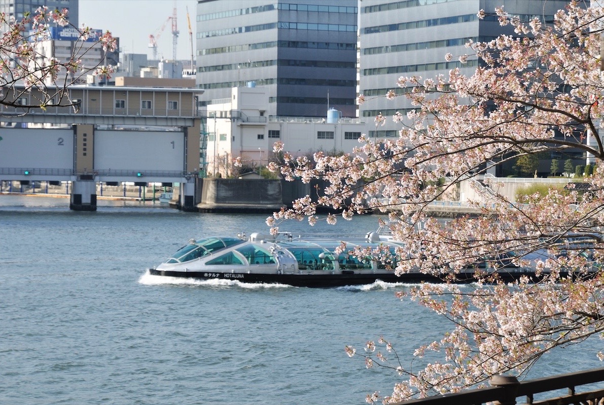 春限定 ホタルナ お花見周遊船 ご予約制 東京都観光汽船 Tokyo Cruise 春限定 ホタルナ お花見周遊船 ご予約制 東京都観光汽船 Tokyo Cruise